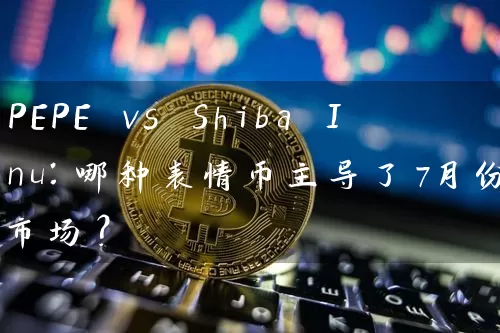 PEPE vs Shiba Inu：哪种表情币主导了7月份的市场？