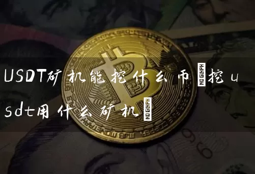 USDT矿机能挖什么币(挖usdt用什么矿机)