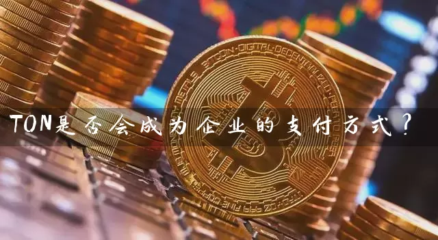 TON是否会成为企业的支付方式？