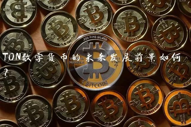 TON数字货币的未来发展前景如何？