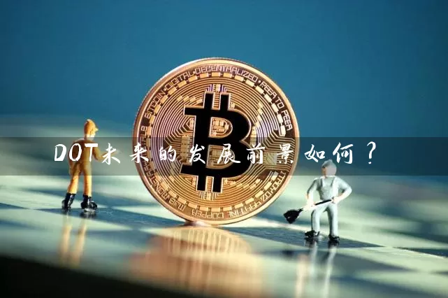 DOT未来的发展前景如何？