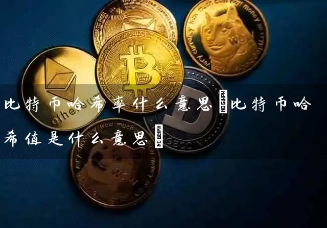 比特币哈希率什么意思(比特币哈希值是什么意思)