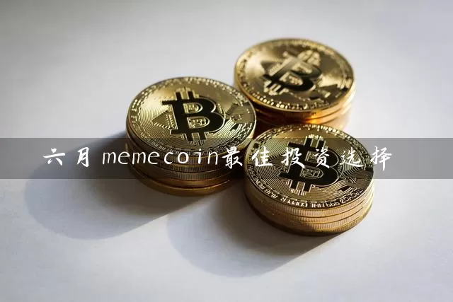 六月memecoin最佳投资选择