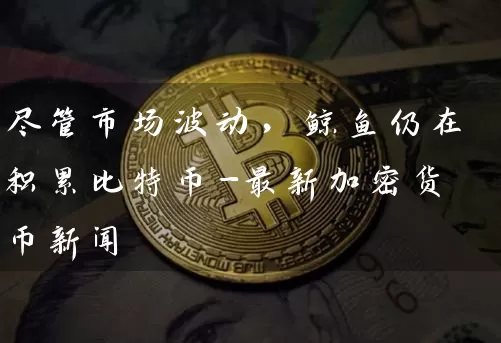 尽管市场波动，鲸鱼仍在积累比特币-最新加密货币新闻