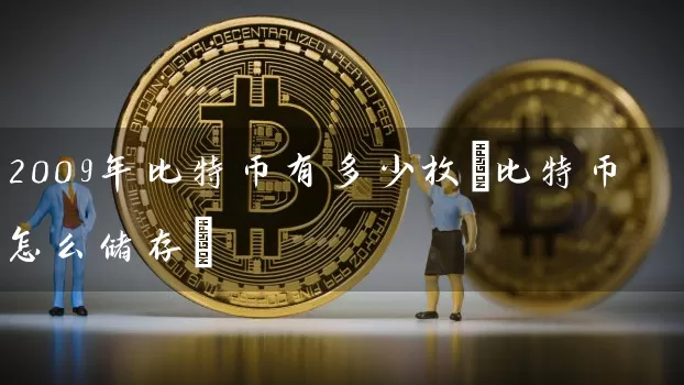 2009年比特币有多少枚(比特币怎么储存)
