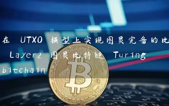 在 UTXO 模型上实现图灵完备的比特币 Layer2 图灵比特链 Turingbitchain