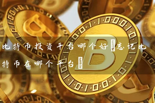 比特币投资平台哪个好(忘记比特币在哪个平台)