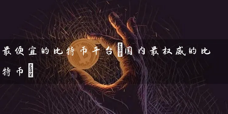 最便宜的比特币平台(国内最权威的比特币)