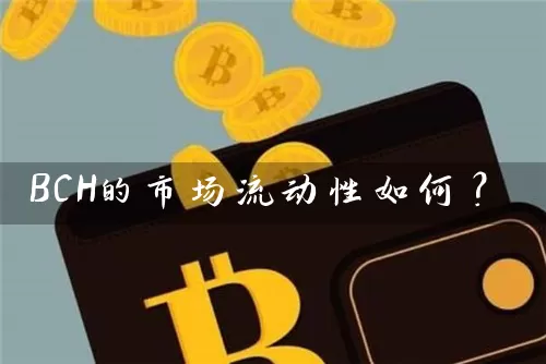 BCH的市场流动性如何？