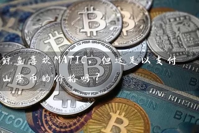 鲸鱼喜欢MATIC，但这足以支付山寨币的价格吗？