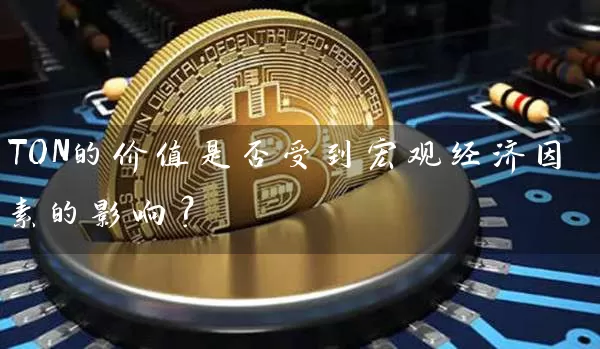 TON的价值是否受到宏观经济因素的影响？