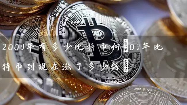 2009年有多少比特币啊(09年比特币到现在涨了多少倍)