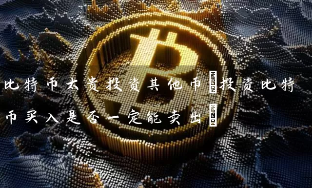 比特币太贵投资其他币(投资比特币买入是否一定能卖出)