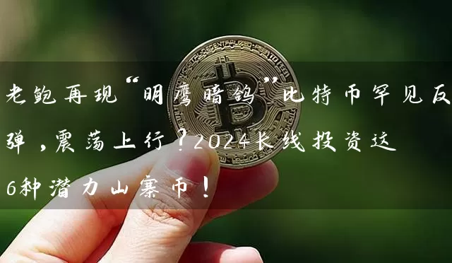 老鲍再现“明鹰暗鸽”比特币罕见反弹,震荡上行?2024长线投资这6种潜力山寨币!
