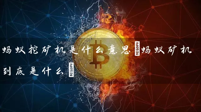蚂蚁挖矿机是什么意思(蚂蚁矿机到底是什么)
