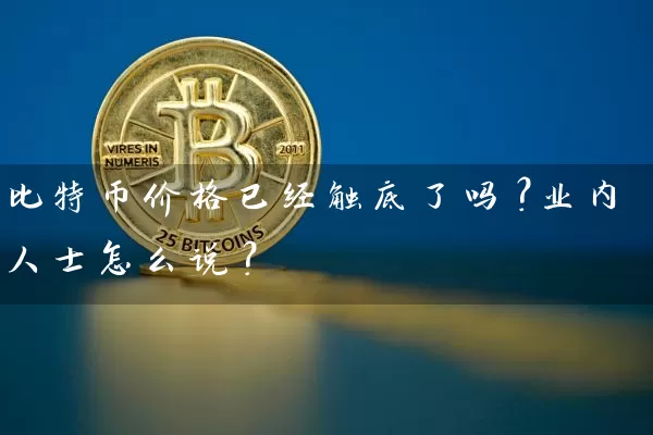 比特币价格已经触底了吗？业内人士怎么说？