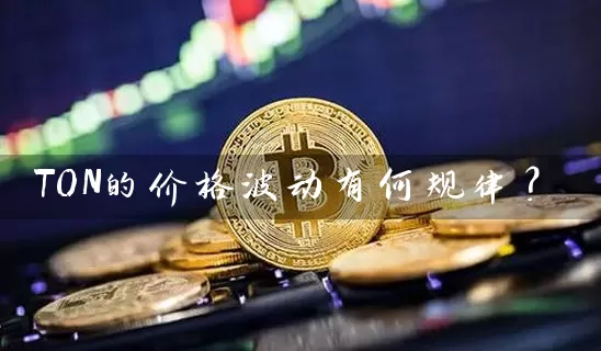 TON的价格波动有何规律？