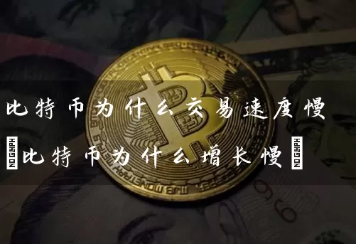 比特币为什么交易速度慢(比特币为什么增长慢)