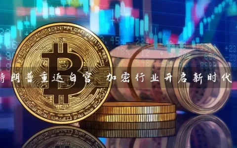 特朗普重返白宫 加密行业开启新时代