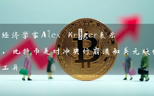 经济学家Alex Krüger表示，比特币是对冲央行崩溃和美元贬值的工具