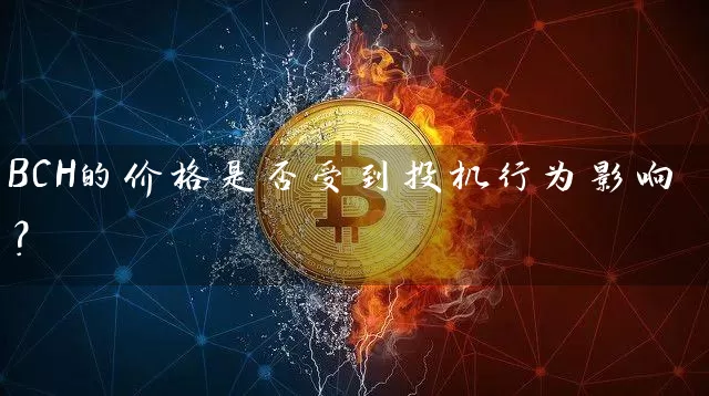 BCH的价格是否受到投机行为影响？