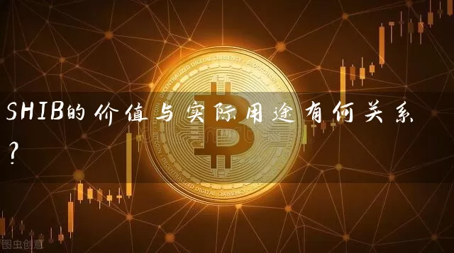 SHIB的价值与实际用途有何关系？