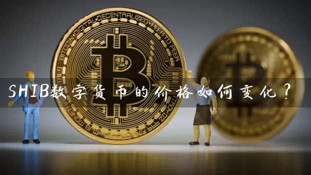 SHIB数字货币的价格如何变化？