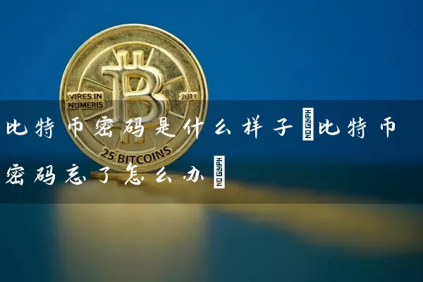 比特币是什么样子(比特币忘了怎么办)