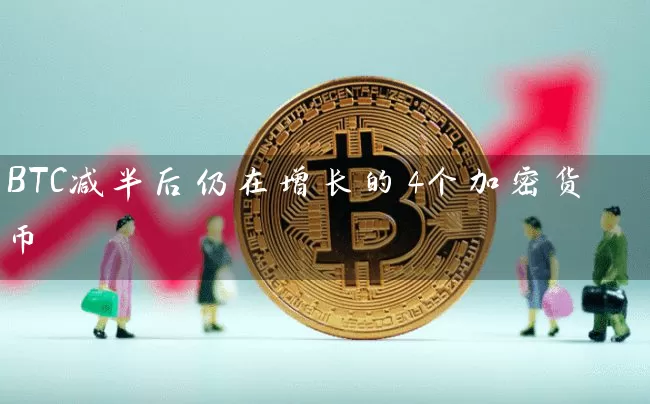 BTC减半后仍在增长的4个加密货币