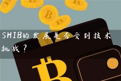 SHIB的发展是否受到技术挑战？