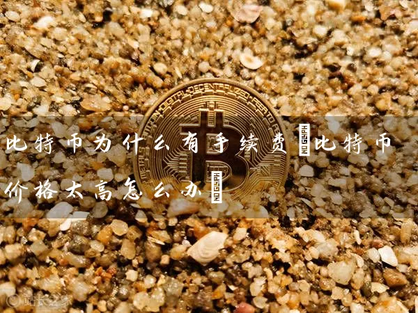 比特币为什么有手续费(比特币价格太高怎么办)