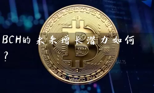 BCH的未来增长潜力如何？
