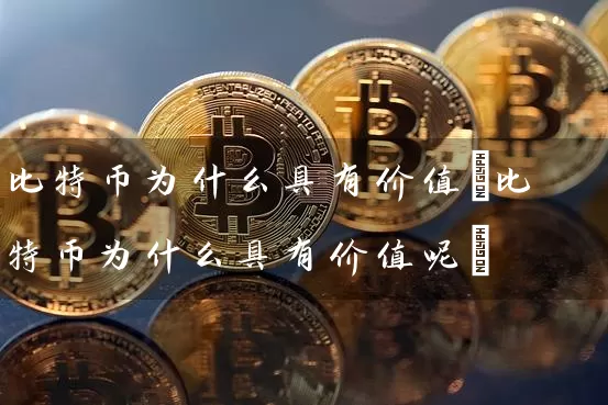 比特币为什么具有价值(比特币为什么具有价值呢)