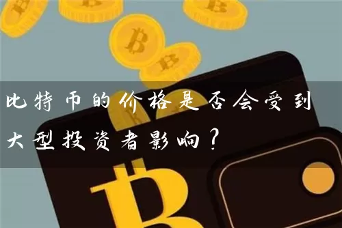 比特币的价格是否会受到大型投资者影响？