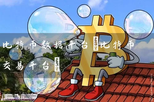 比特币数据平台(比特币交易平台)