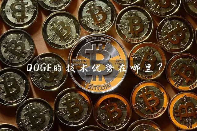 DOGE的技术优势在哪里？