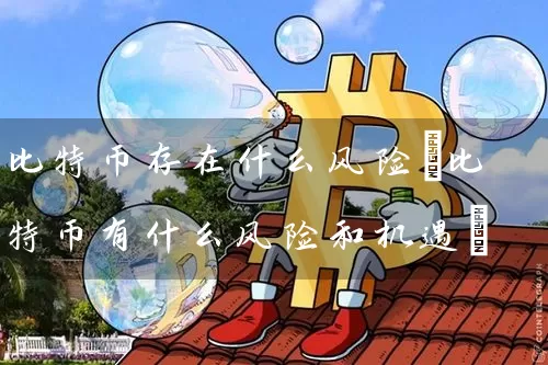 比特币存在什么风险(比特币有什么风险和机遇)