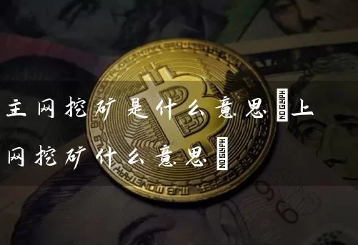 主网挖矿是什么意思(上网挖矿什么意思)