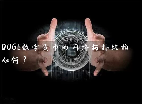 DOGE数字货币的网络拓扑结构如何？