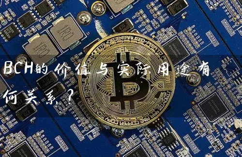 BCH的价值与实际用途有何关系？