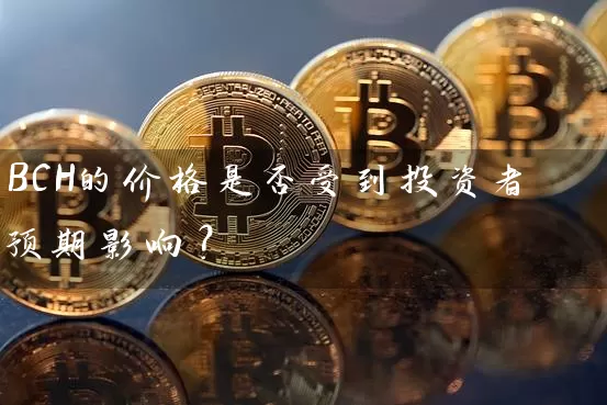 BCH的价格是否受到投资者预期影响？