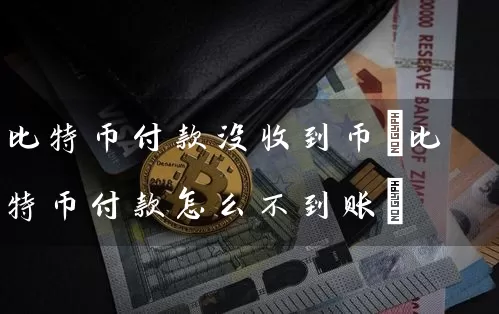 比特币付款没收到币(比特币付款怎么不到账)