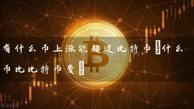 有什么币上涨能超过比特币(什么币比比特币贵)