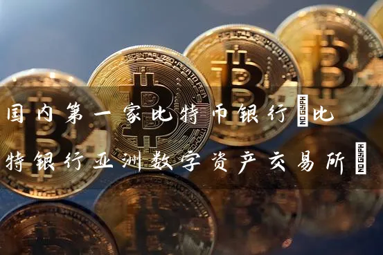 国内第一家比特币银行(比特银行亚洲数字资产交易所)