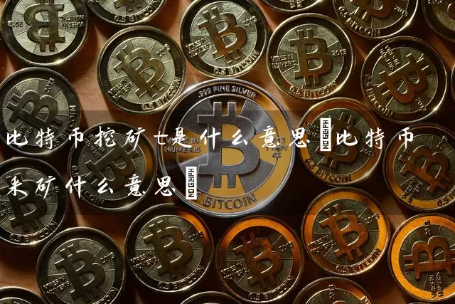 比特币挖矿t是什么意思(比特币采矿什么意思)