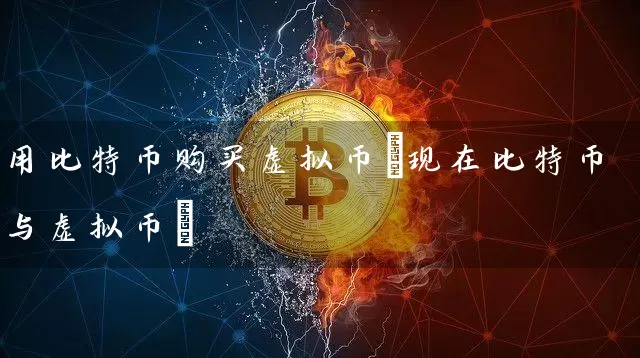 用比特币购买虚拟币(现在比特币与虚拟币)