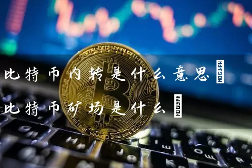 比特币内转是什么意思(比特币矿场是什么)