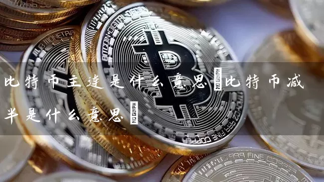 比特币主连是什么意思(比特币减半是什么意思)