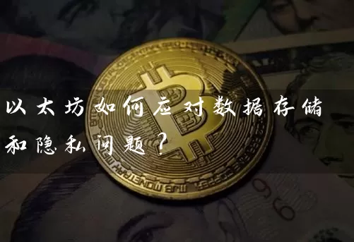 以太坊如何应对数据存储和隐私问题？