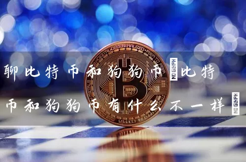 聊比特币和狗狗币(比特币和狗狗币有什么不一样)